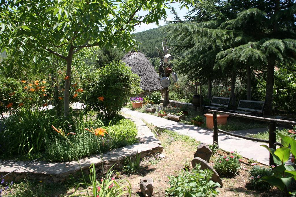Agriturismo Ticci Seùlo Exterior foto